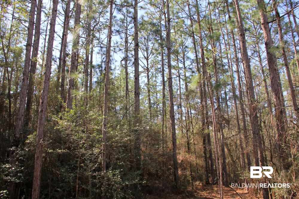 0 County Road 49 Loxley, AL 36551 - Photo 32 of 33