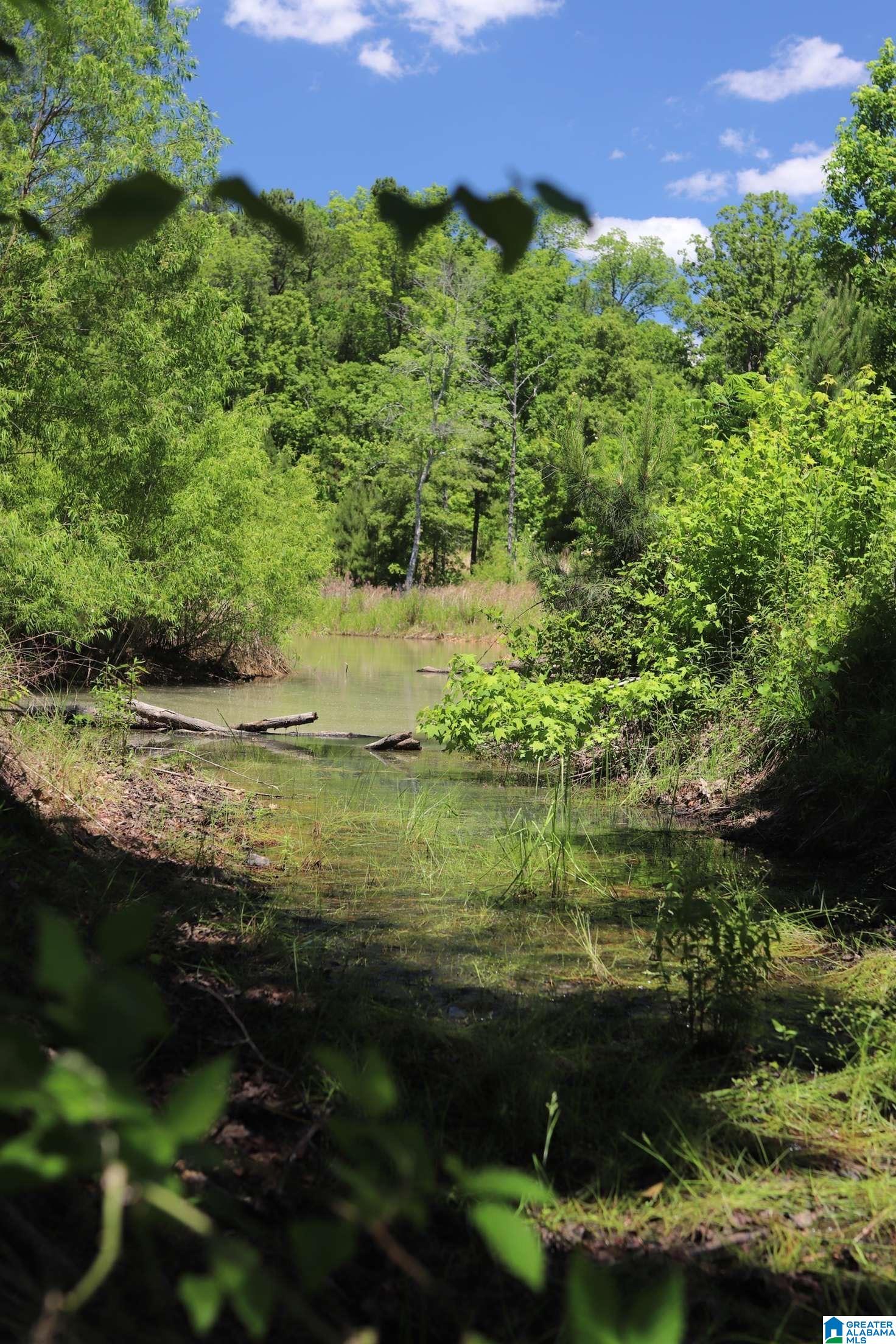 2930 Shocco Springs Road Talladega, AL 35160 - Photo 28 of 93