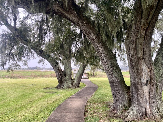218 Cattle Drive Trail Angleton, TX 77515 - Photo 15 of 34 This is the walkway from the pool to the lake.