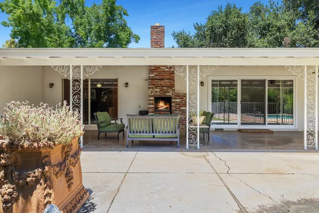 a view of a park with large trees