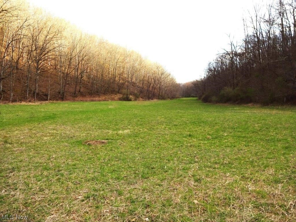 0 Triplett Road Spencer, WV 25276 - Photo 21 of 34