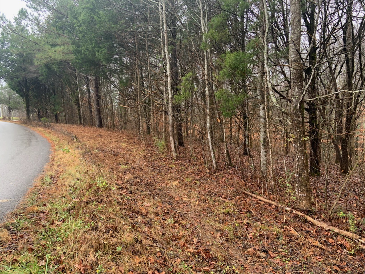 0 Hickey Road Silver Point, TN 38582 - Photo 1 of 8