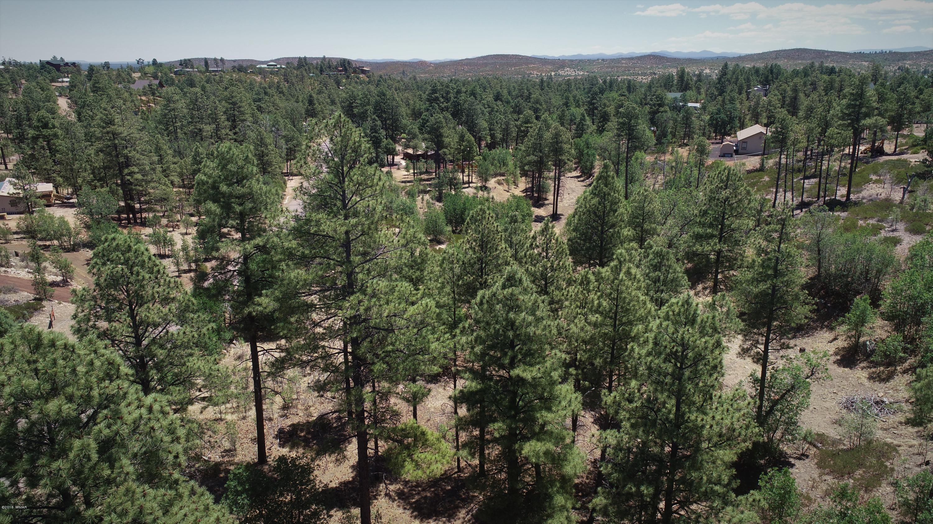 6283 Juniper Ridge Road Show Low, AZ 85901 - Photo 11 of 22