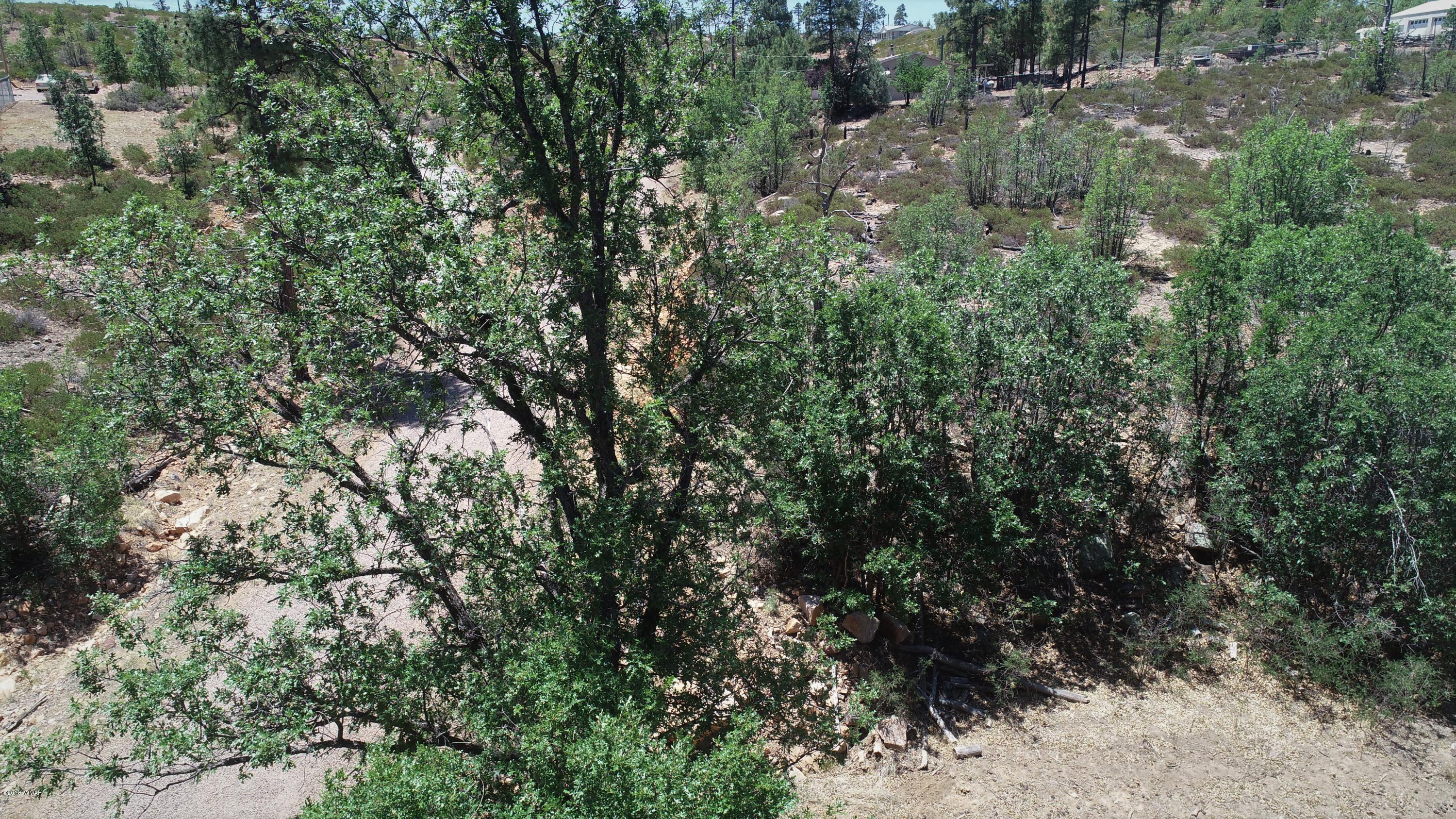 6283 Juniper Ridge Road Show Low, AZ 85901 - Photo 12 of 22