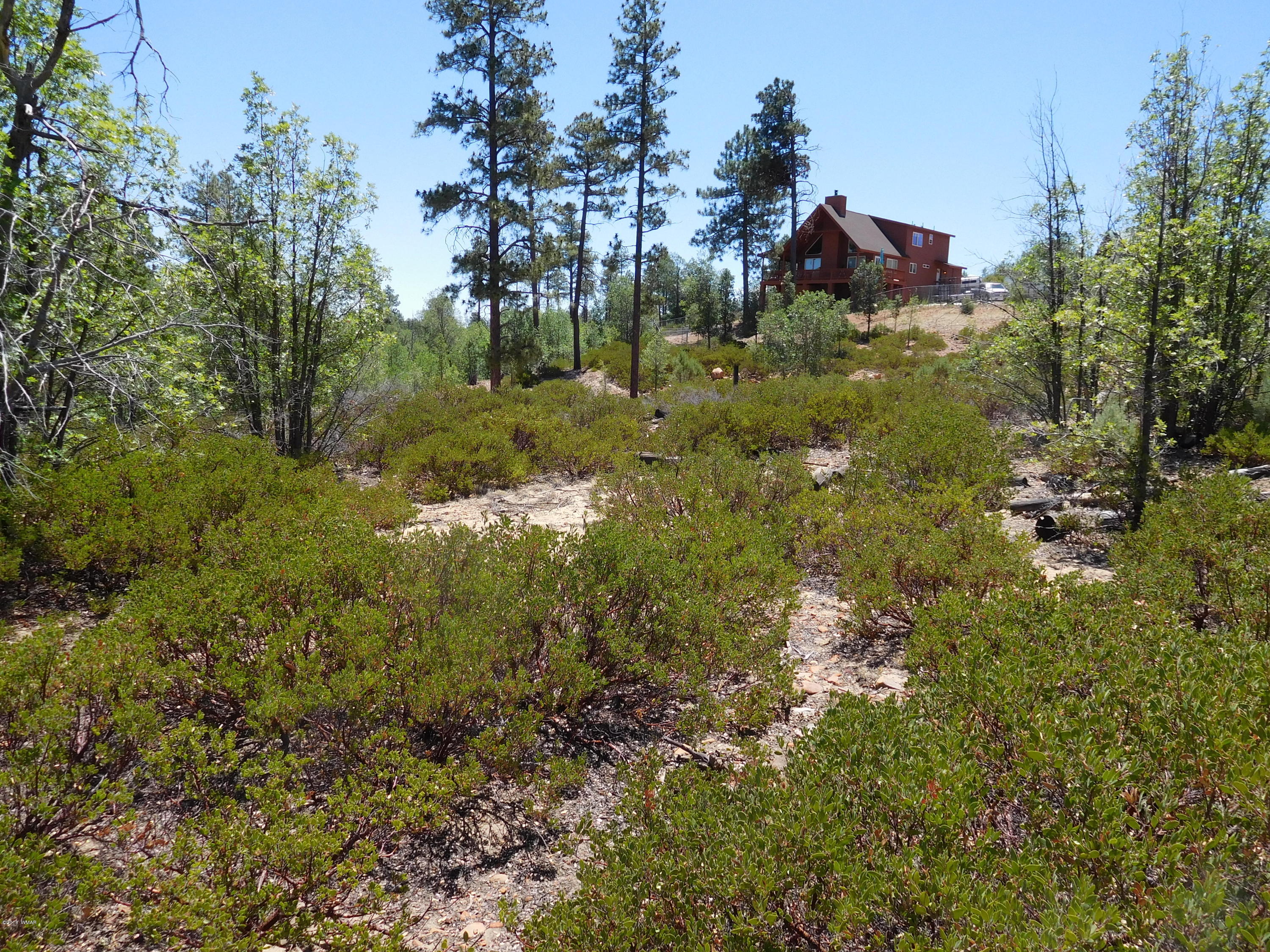 6283 Juniper Ridge Road Show Low, AZ 85901 - Photo 16 of 22