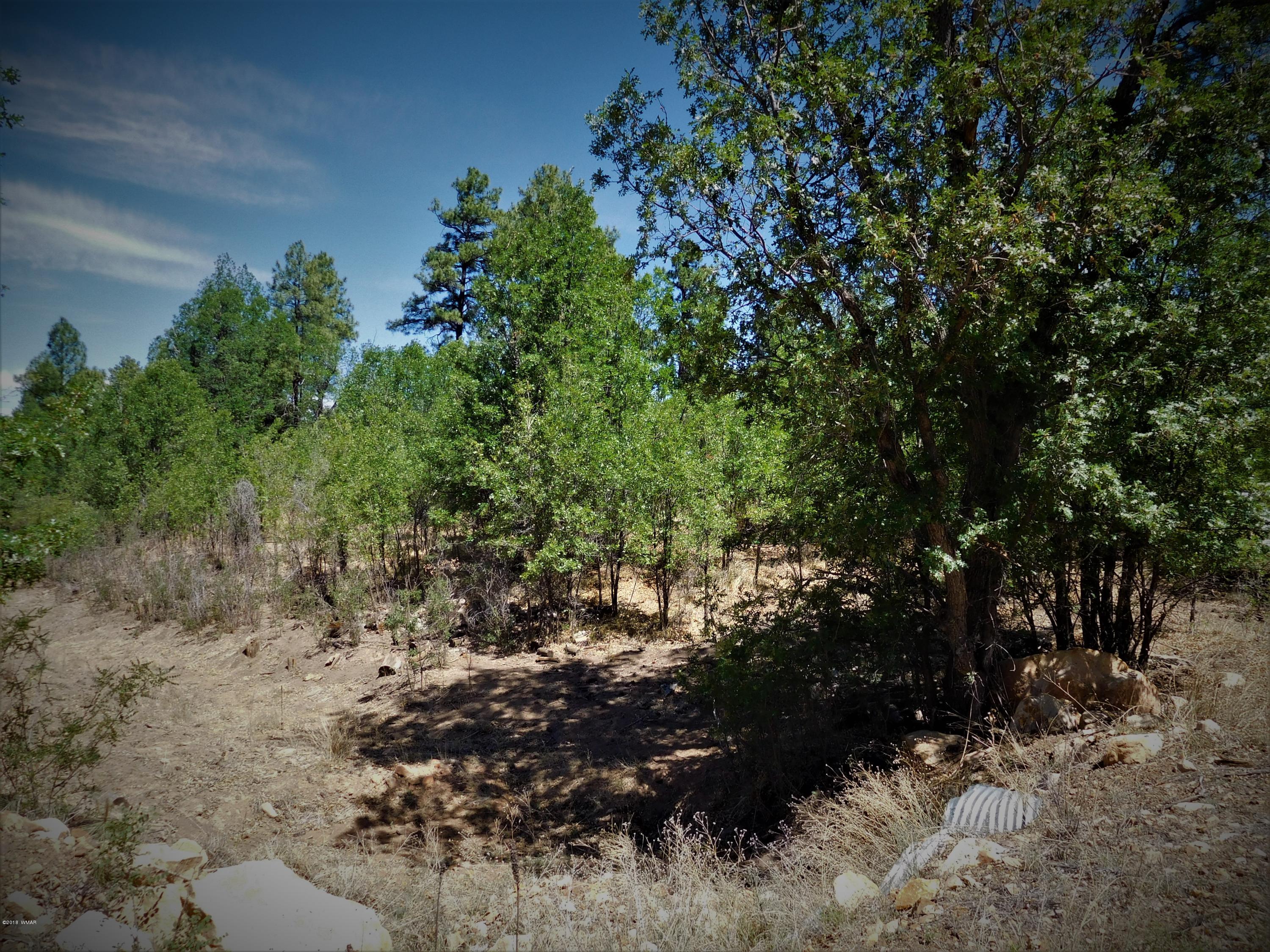 6283 Juniper Ridge Road Show Low, AZ 85901 - Photo 18 of 22