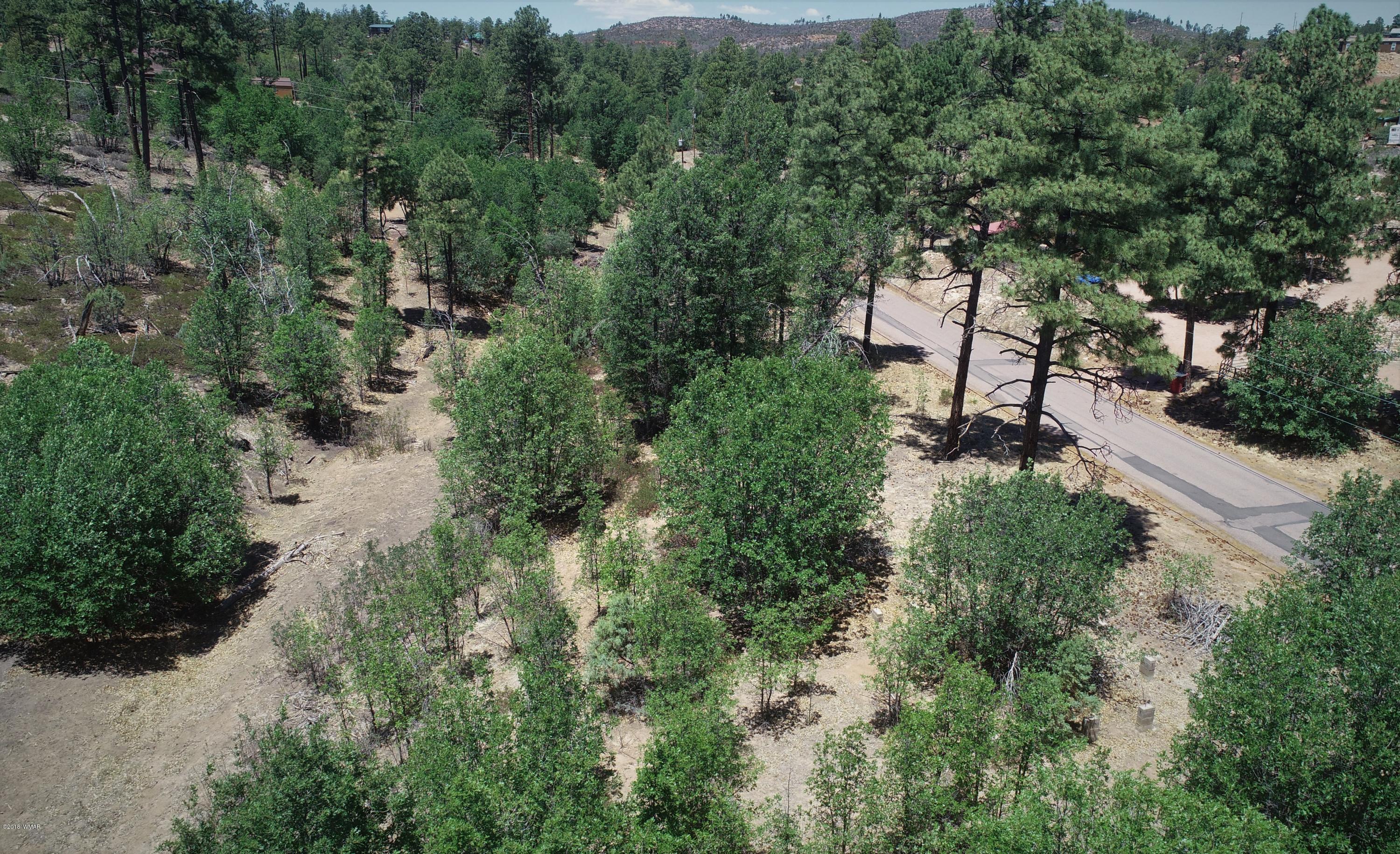 6283 Juniper Ridge Road Show Low, AZ 85901 - Photo 2 of 22