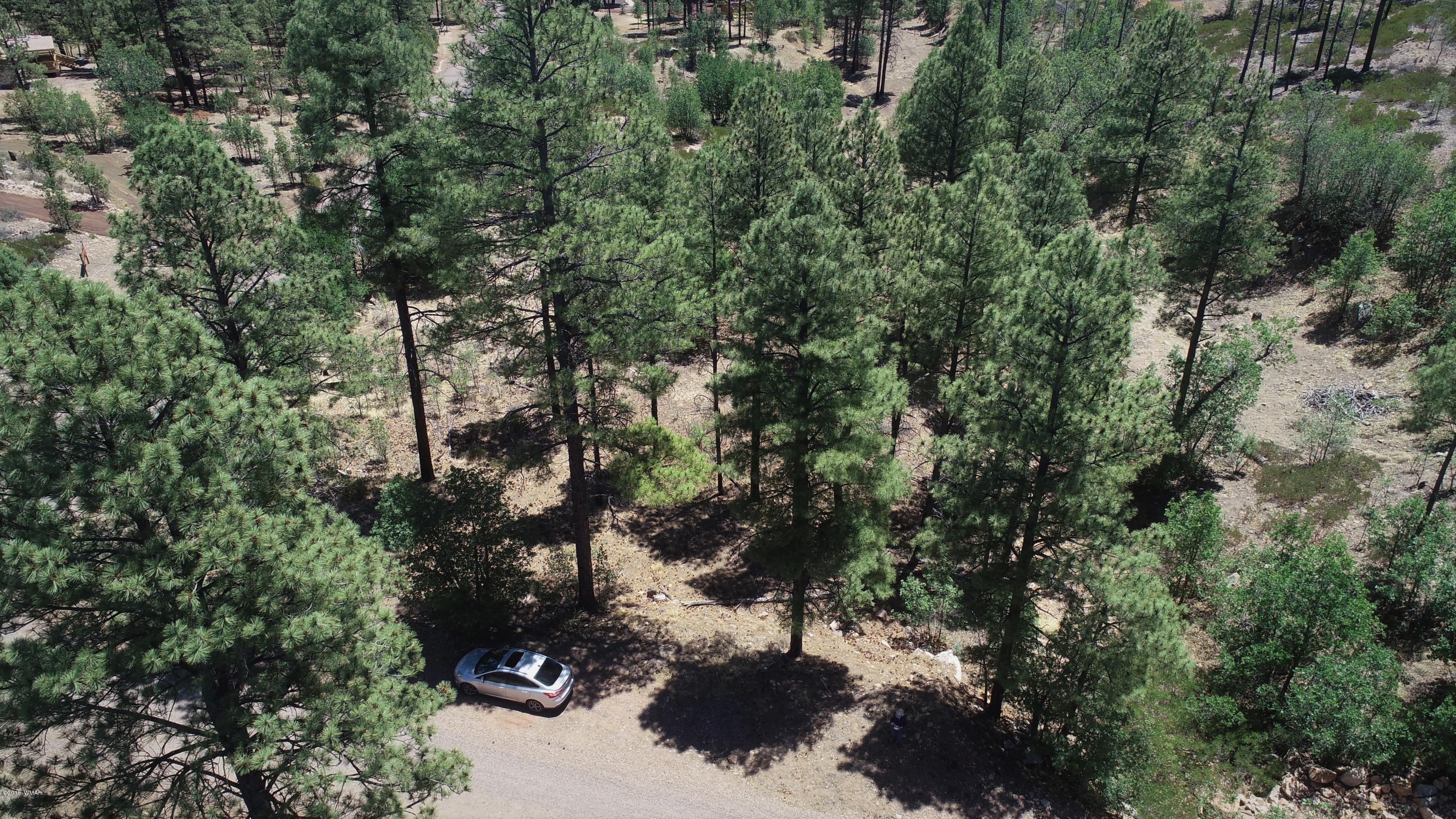 6283 Juniper Ridge Road Show Low, AZ 85901 - Photo 21 of 22