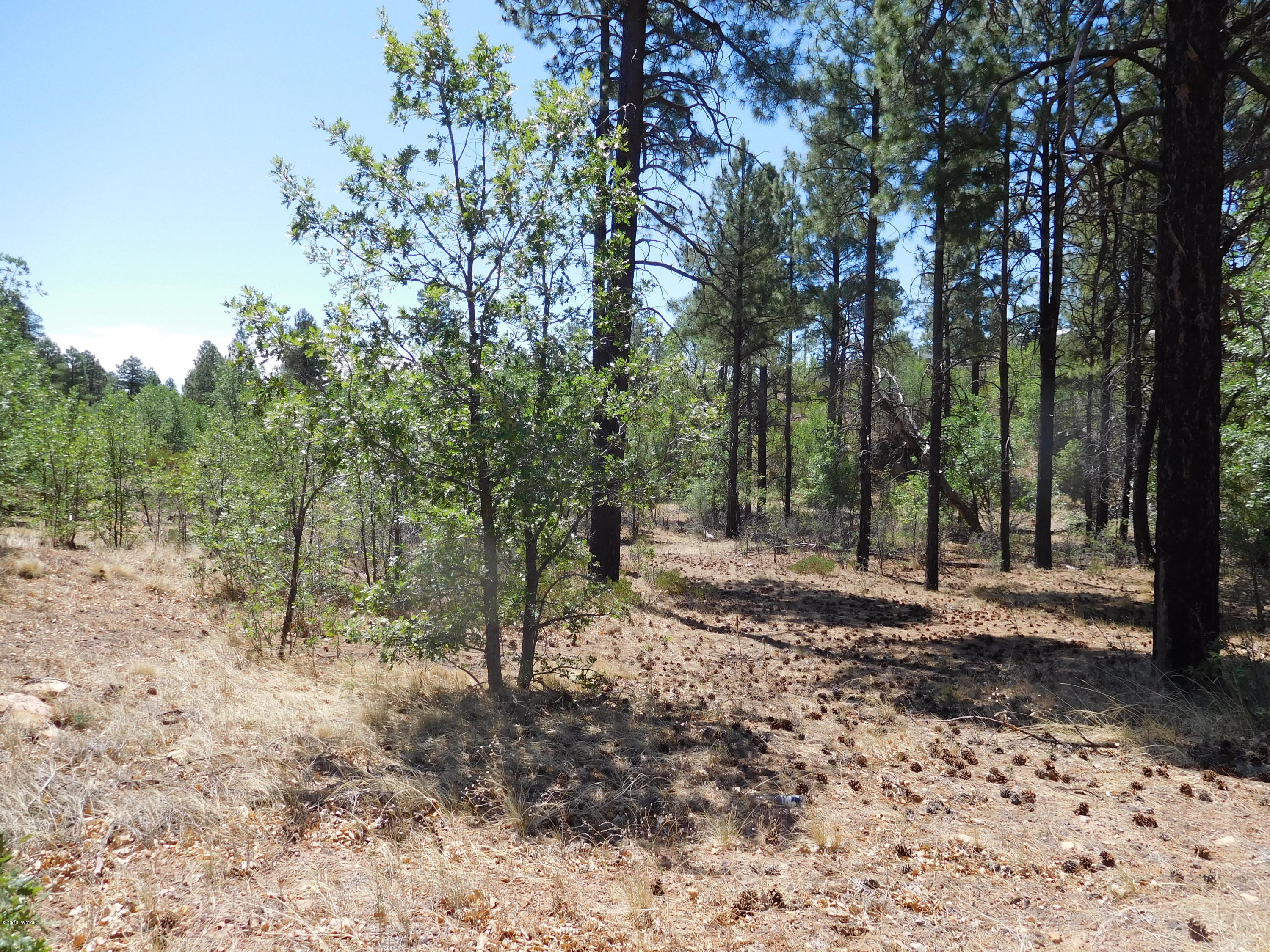6283 Juniper Ridge Road Show Low, AZ 85901 - Photo 3 of 22