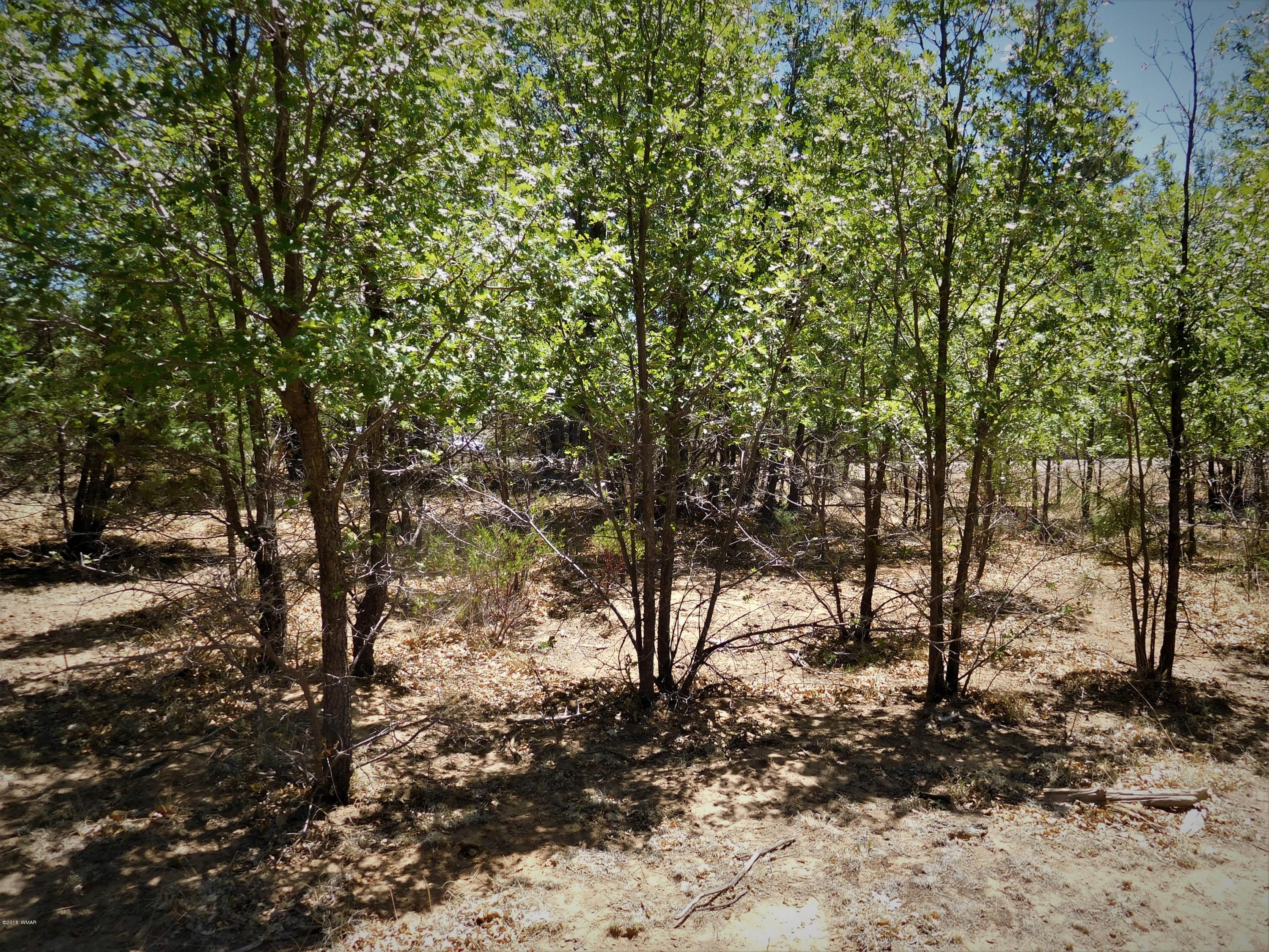 6283 Juniper Ridge Road Show Low, AZ 85901 - Photo 4 of 22