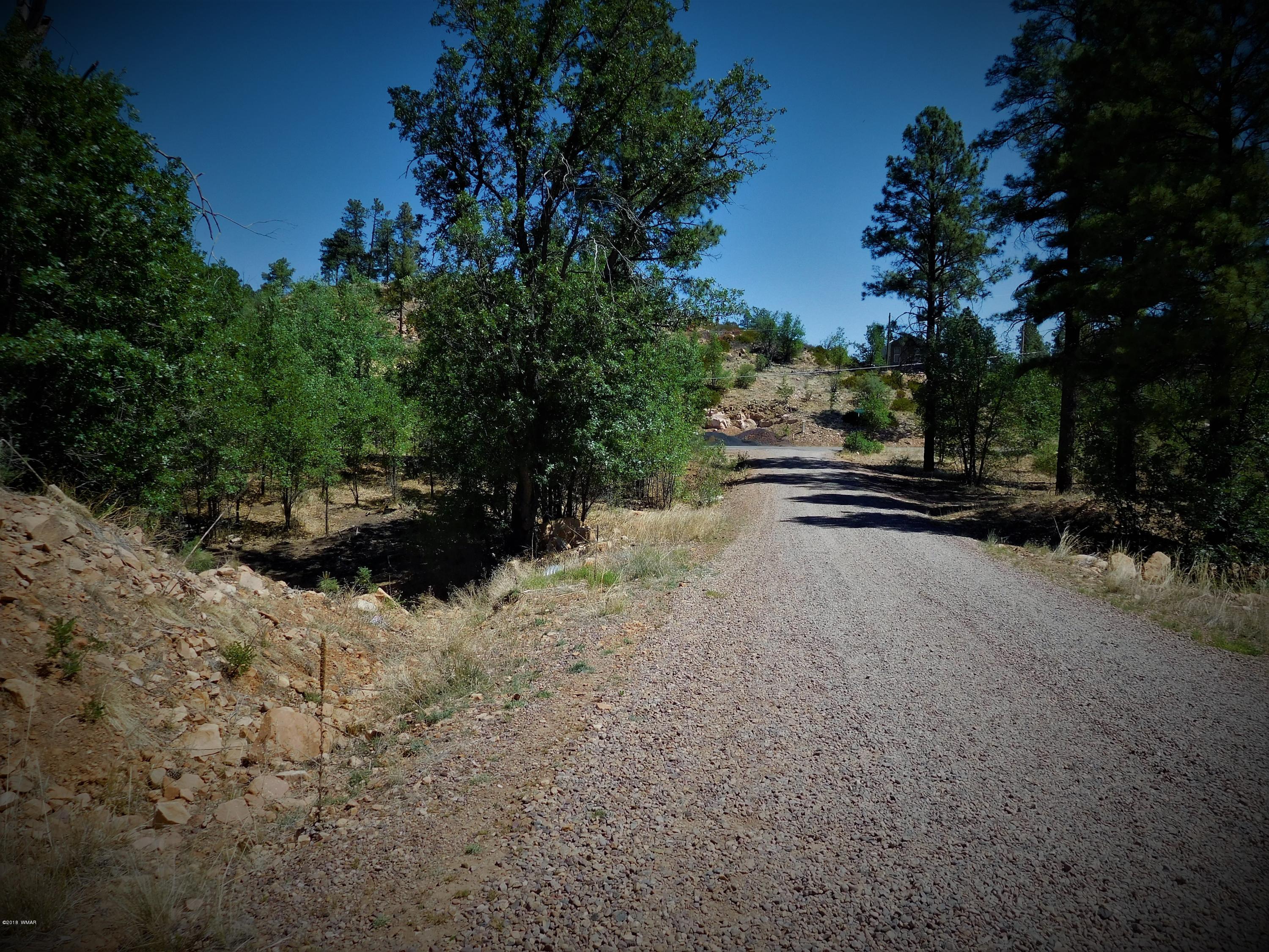 6283 Juniper Ridge Road Show Low, AZ 85901 - Photo 10 of 22