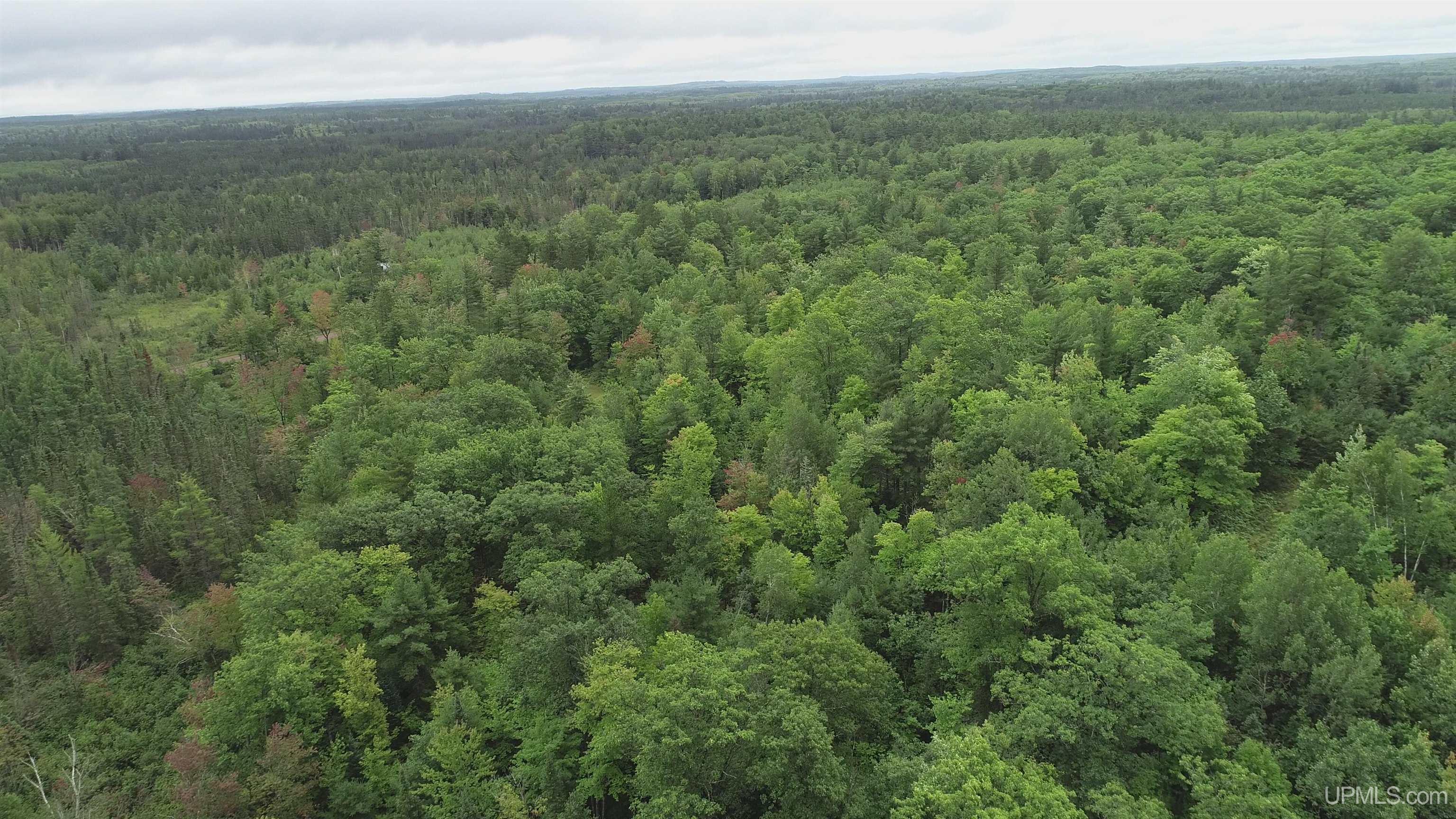 565 County Road 565 Road Gwinn, MI 49841 - Photo 28 of 35