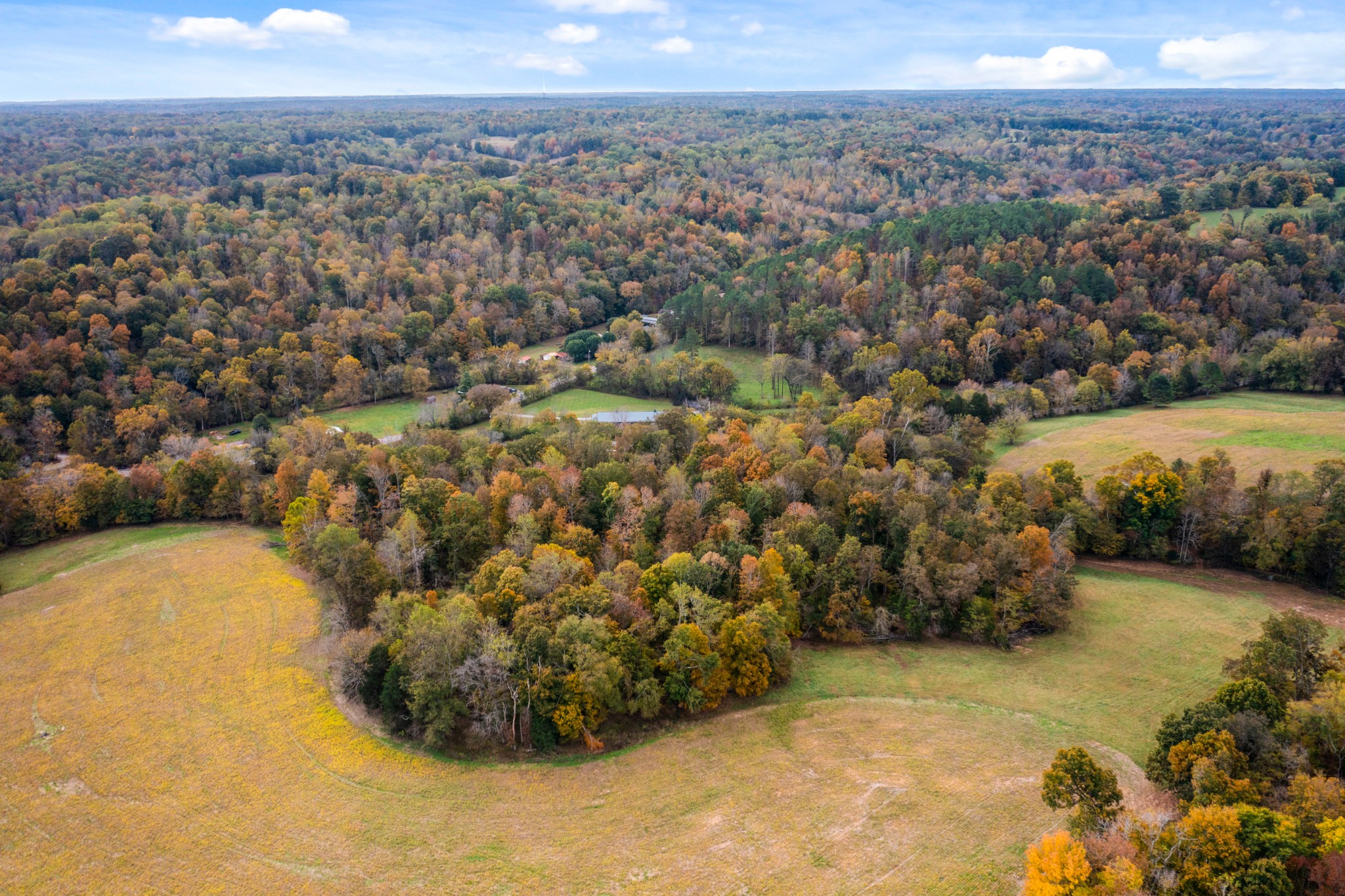 0 Budds Creek Road Palmyra, TN 37142 - Photo 9 of 17 a view of a city