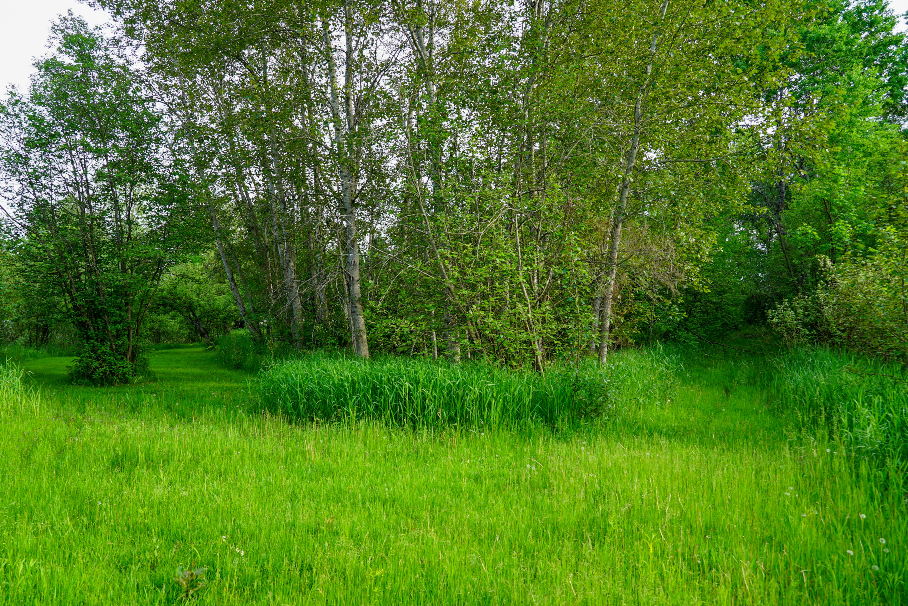 3091 East Sage Lake Road Lupton, MI 48635 - Photo 46 of 49 49