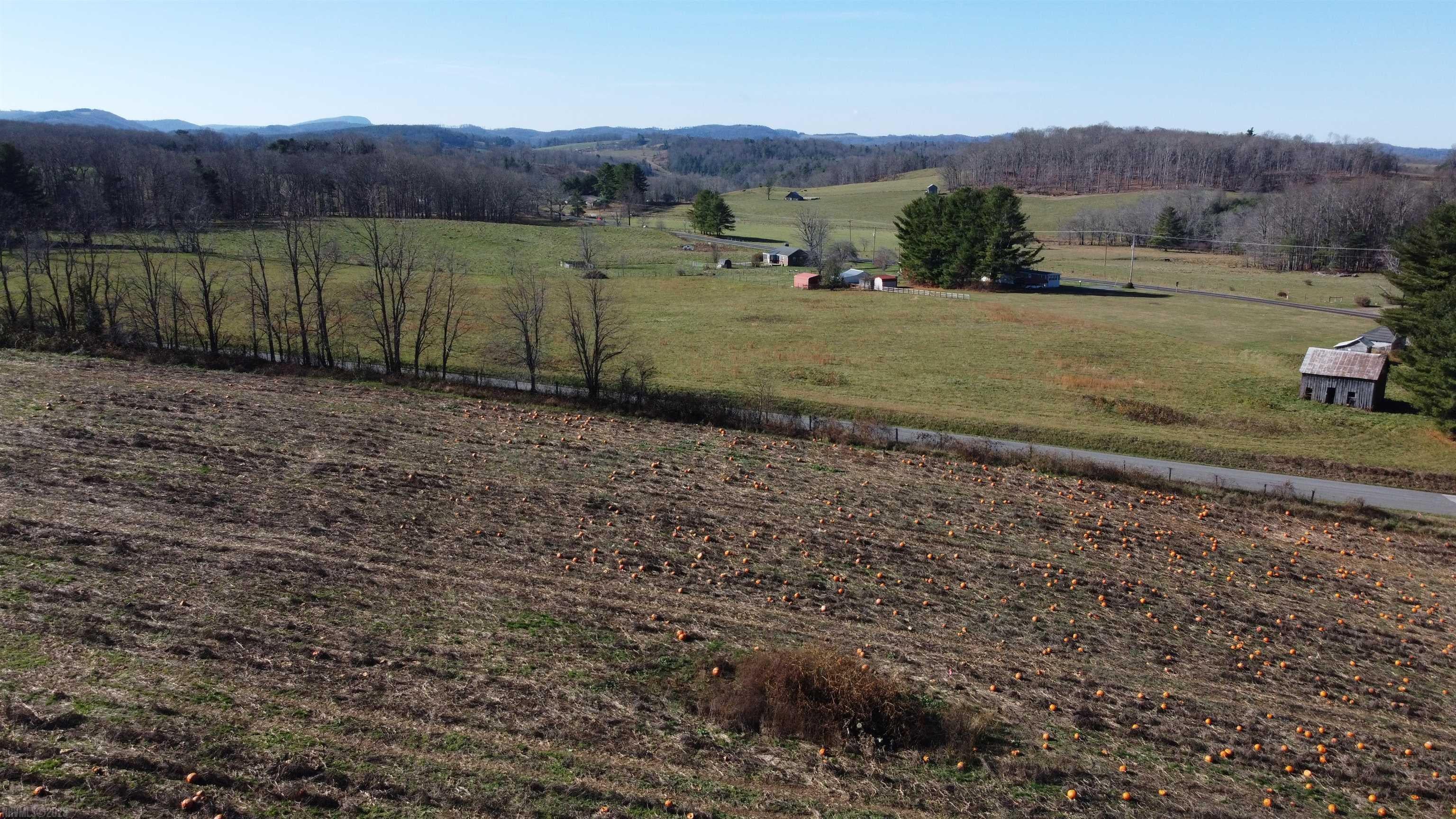0 Long Level Road Southwest Floyd, VA 24091 - Photo 13 of 17 Gallery Image 13