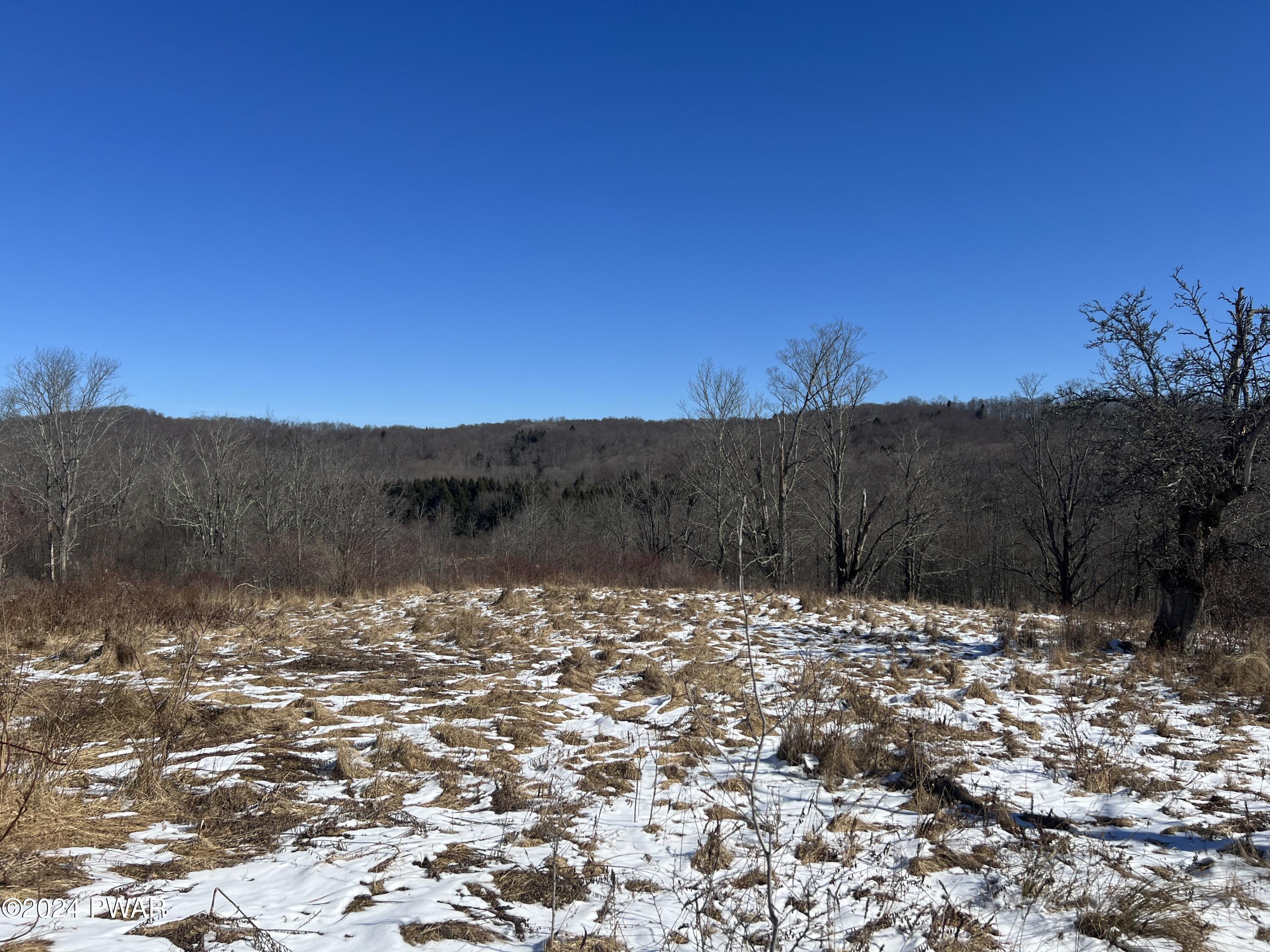 Old Franks Road Pleasant Mount, PA 18453 - Photo 3 of 9