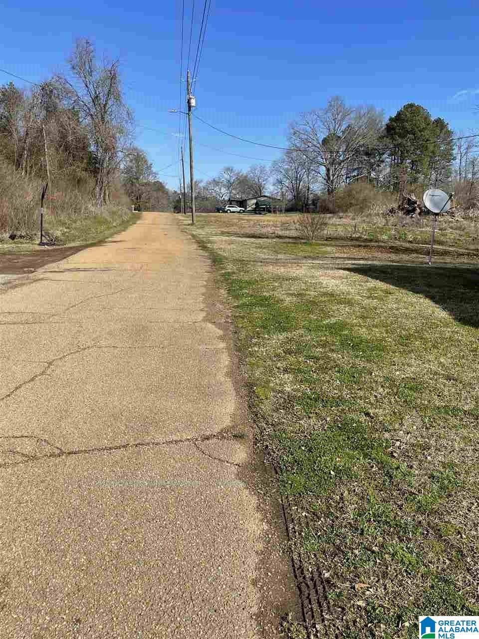 224 Jackson Street Oakman, AL 35579 - Photo 3 of 15