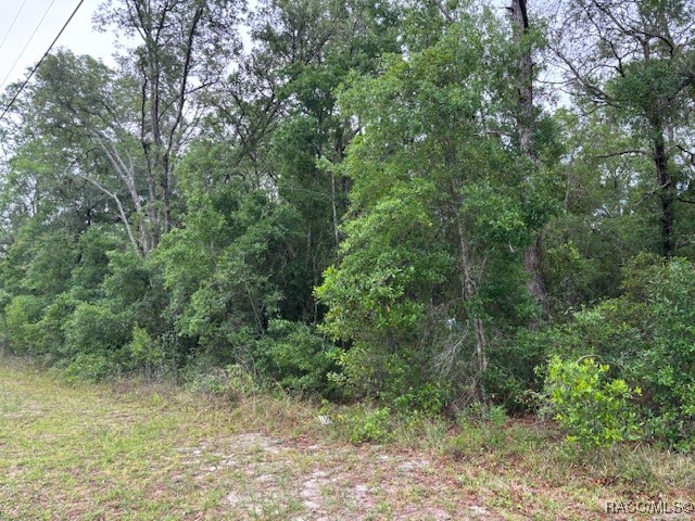 359 North Fitzpatrick Avenue Inverness, FL 34453 - Photo 4 of 7