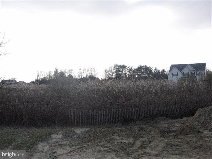 708 Chelsea Road Mullica Hill, NJ 08062 - Photo 9 of 18 View in Back