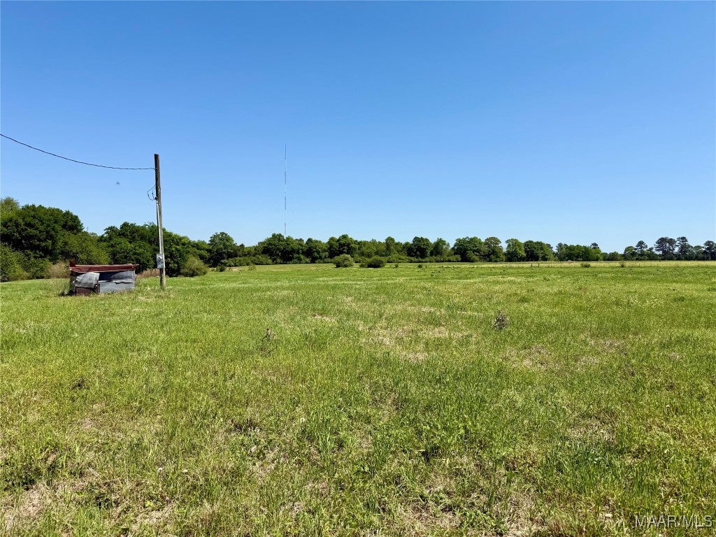 11.25-acres Huskey Road Dothan, AL 36303 - Photo 10 of 13 Gallery Image 10