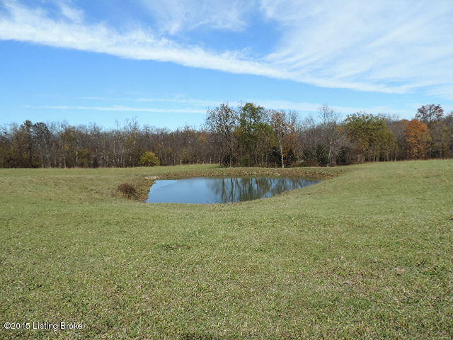 3098 Sulphur Road Sulphur, KY 40070 - Photo 35 of 48 3098 Sulphur Road 060