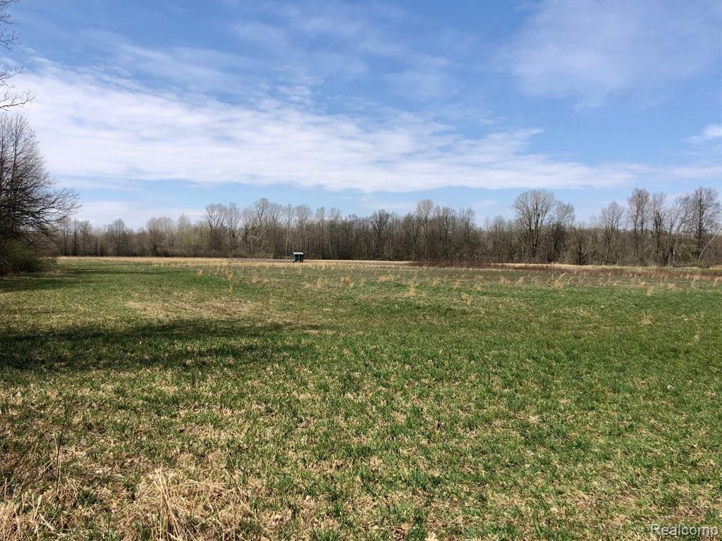 21232 Karr Road Belleville, MI 48111 - Photo 8 of 24