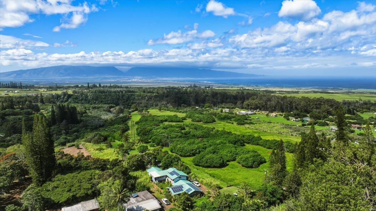 2278 Lilikoi Road Haiku, HI 96708 - Photo 11 of 19 a view of a city with lush green forest
