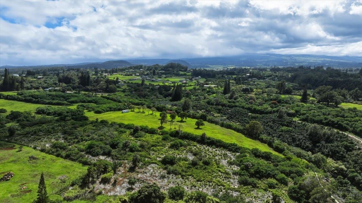 2278 Lilikoi Road Haiku, HI 96708 - Photo 13 of 19 a view of a green field with lots of bushes