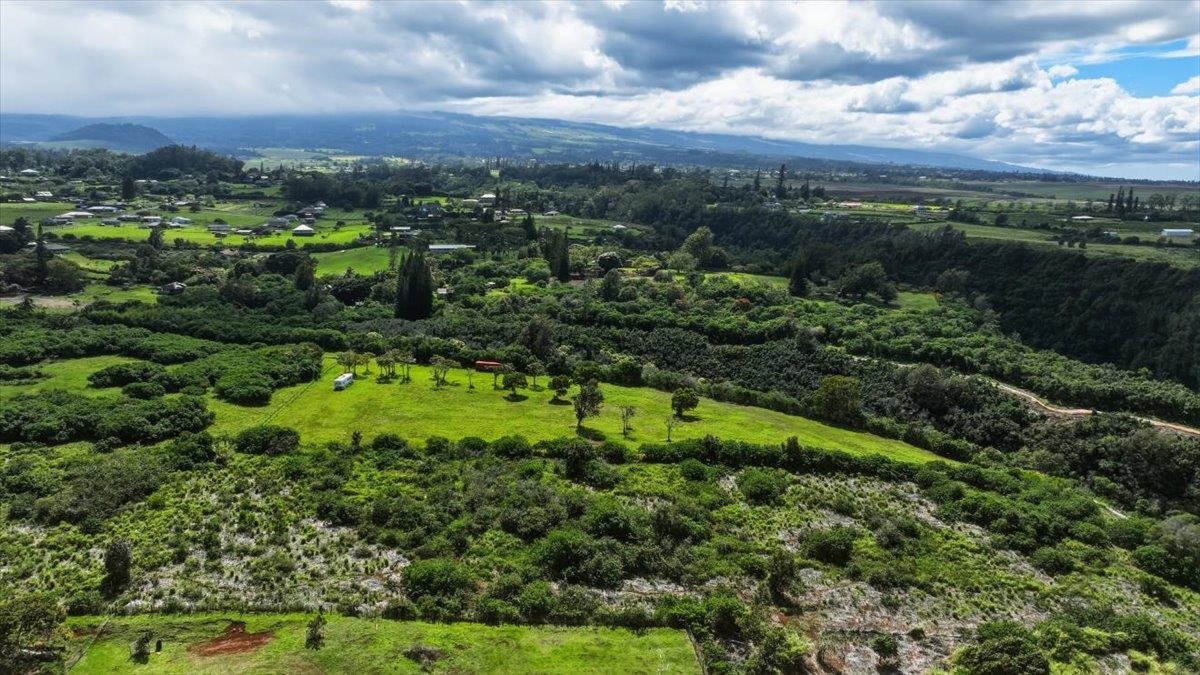 2278 Lilikoi Road Haiku, HI 96708 - Photo 15 of 19 a view of a city with lush green forest