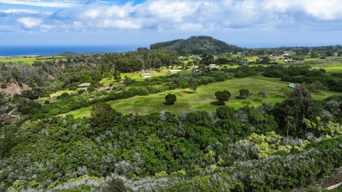 2278 Lilikoi Road Haiku, HI 96708 - Photo 17 of 19 a view of a city with lush green forest