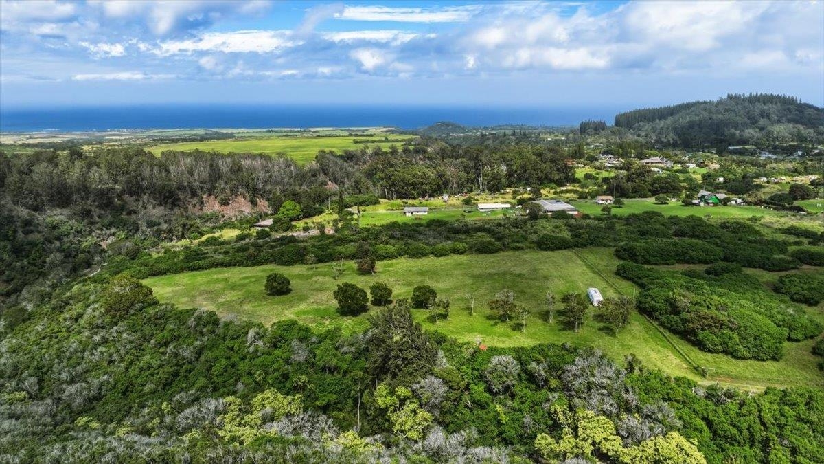 2278 Lilikoi Road Haiku, HI 96708 - Photo 19 of 19 a view of a city with lush green forest