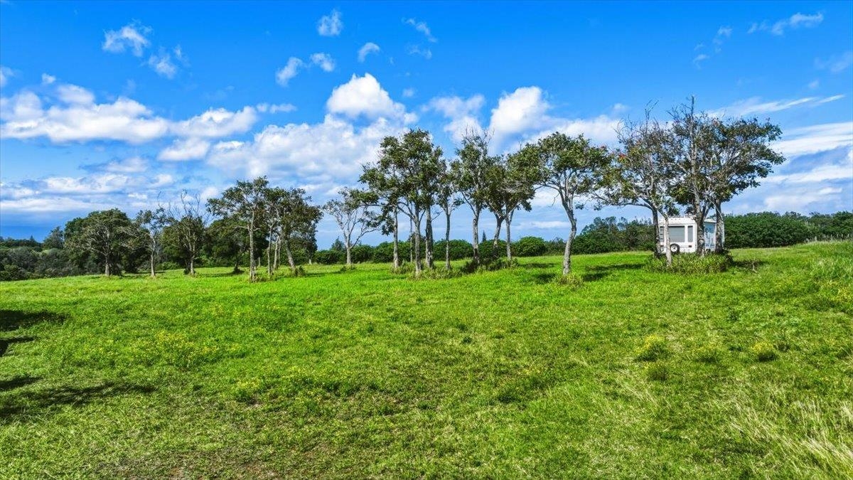2278 Lilikoi Road Haiku, HI 96708 - Photo 2 of 19 a view of a park