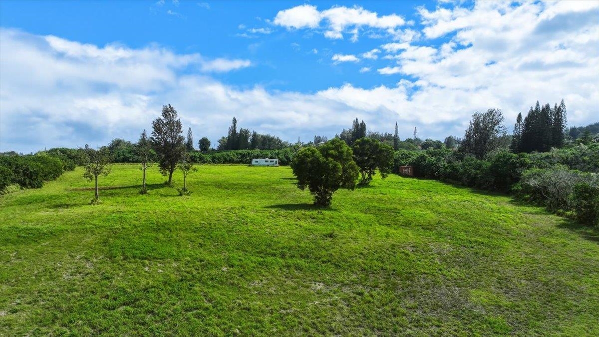 2278 Lilikoi Road Haiku, HI 96708 - Photo 3 of 19 a view of a green field