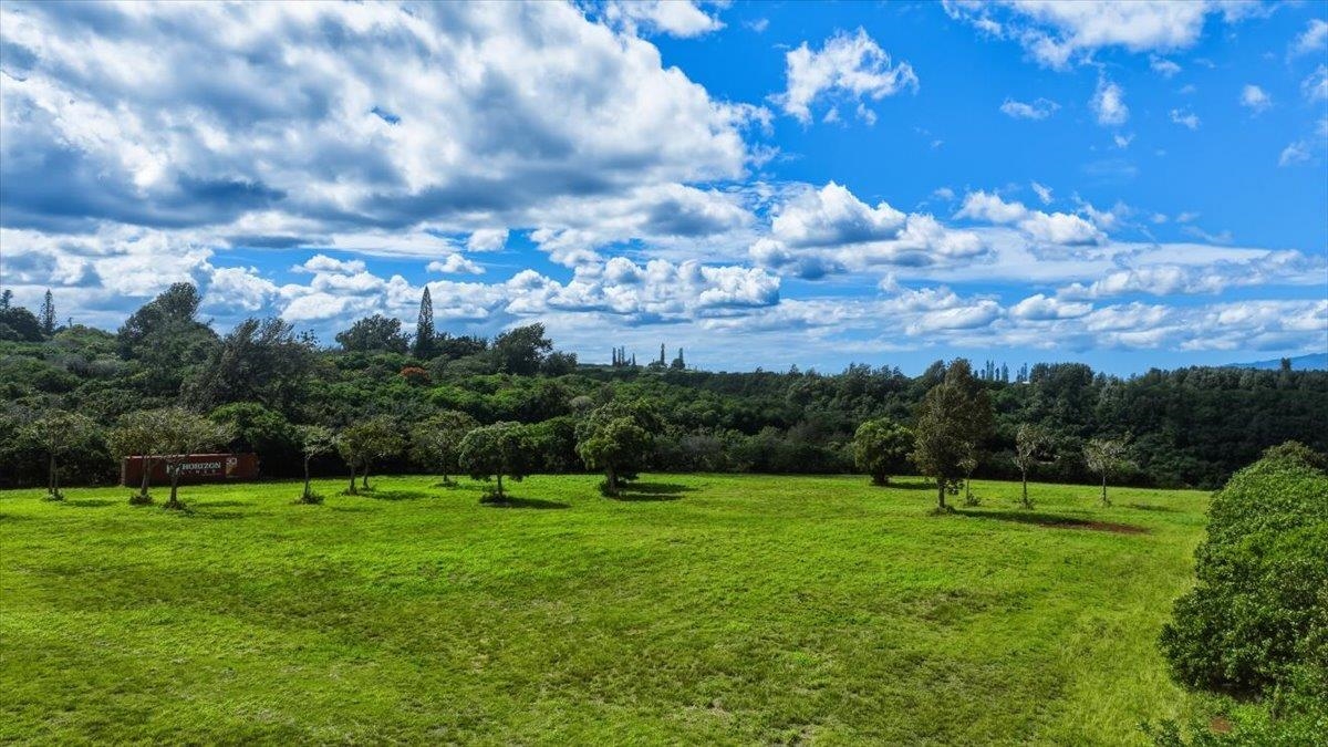 2278 Lilikoi Road Haiku, HI 96708 - Photo 5 of 19 a view of a golf course with a lake