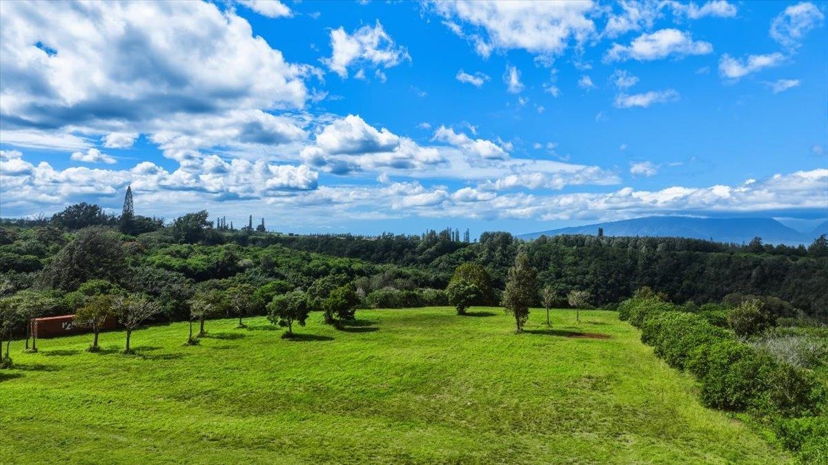 2278 Lilikoi Road Haiku, HI 96708 - Photo 6 of 19 a view of a green field with sitting area