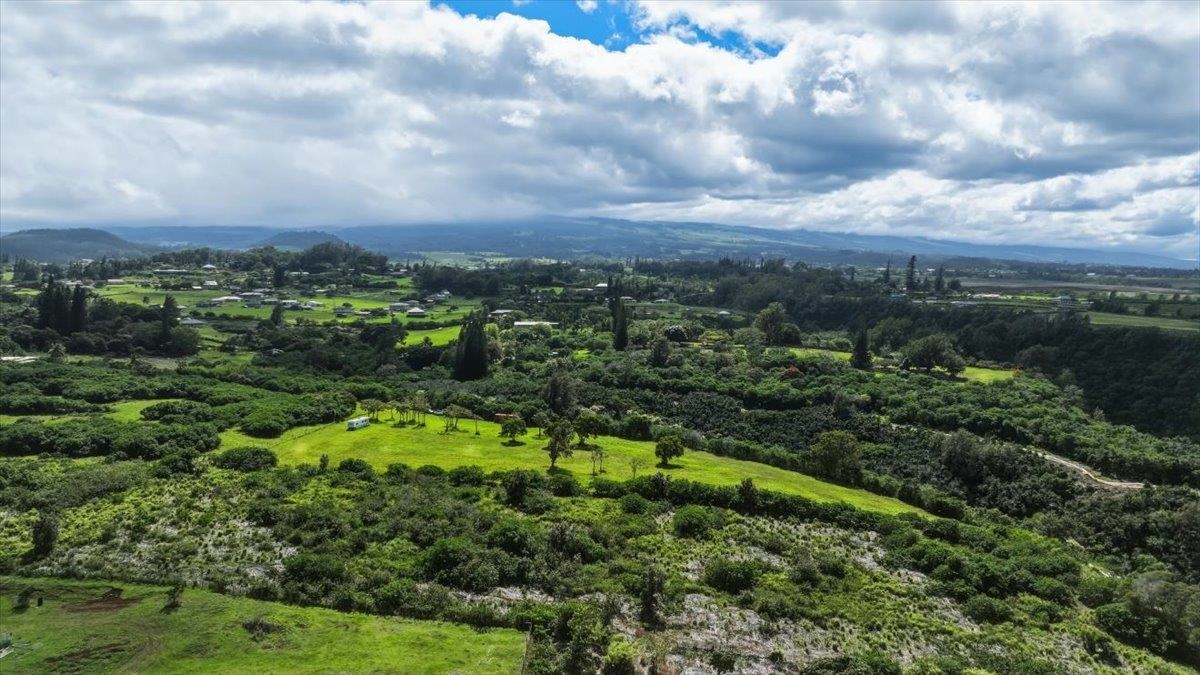 2278 Lilikoi Road Haiku, HI 96708 - Photo 8 of 19 a view of a city with lush green forest