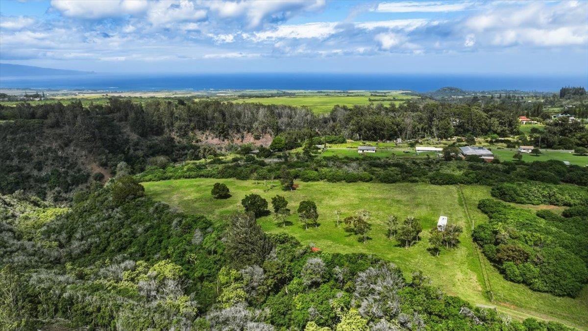 2278 Lilikoi Road Haiku, HI 96708 - Photo 9 of 19 a view of a city with lush green forest
