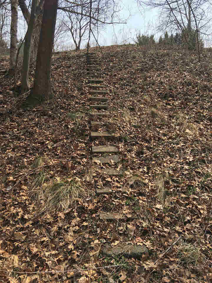 8077 North McKinley Road Flushing, MI 48433 - Photo 55 of 58 stairway to valley