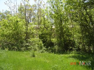 1454 West Temperance Road Temperance, MI 48182 - Photo 4 of 14 940131-3.JPG