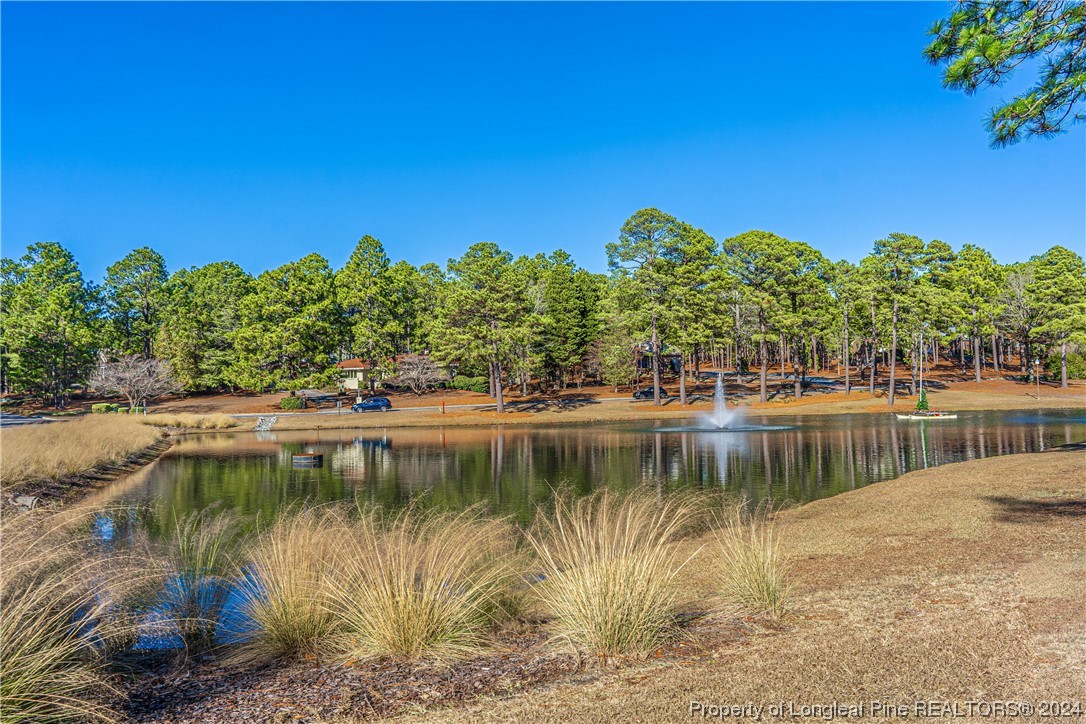 113 Pittman Road West End, NC 27376 - Photo 49 of 50 a view of a lake with a yard