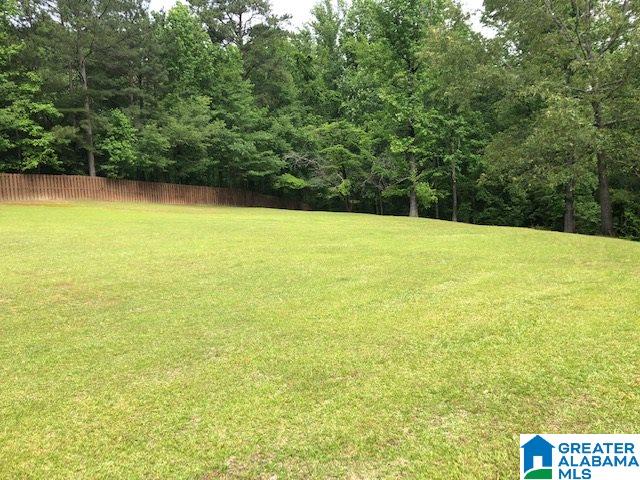5045 Hollis Goodwin Road Dora, AL 35062 - Photo 36 of 38