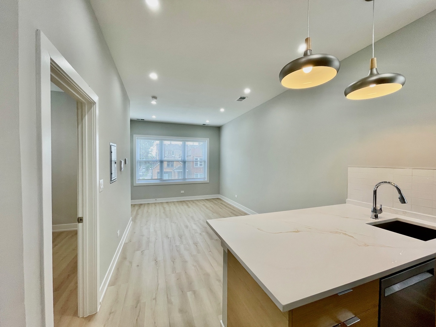 2238 West 24th Street, Unit 2F Chicago, IL 60608 - Photo 10 of 25 a view of a kitchen cabinets a sink and dishwasher