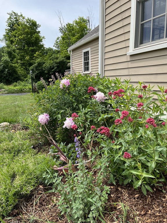 95 South Road Ashby, MA 01431 - Photo 27 of 33 a view of a potted plant sitting in front of a house