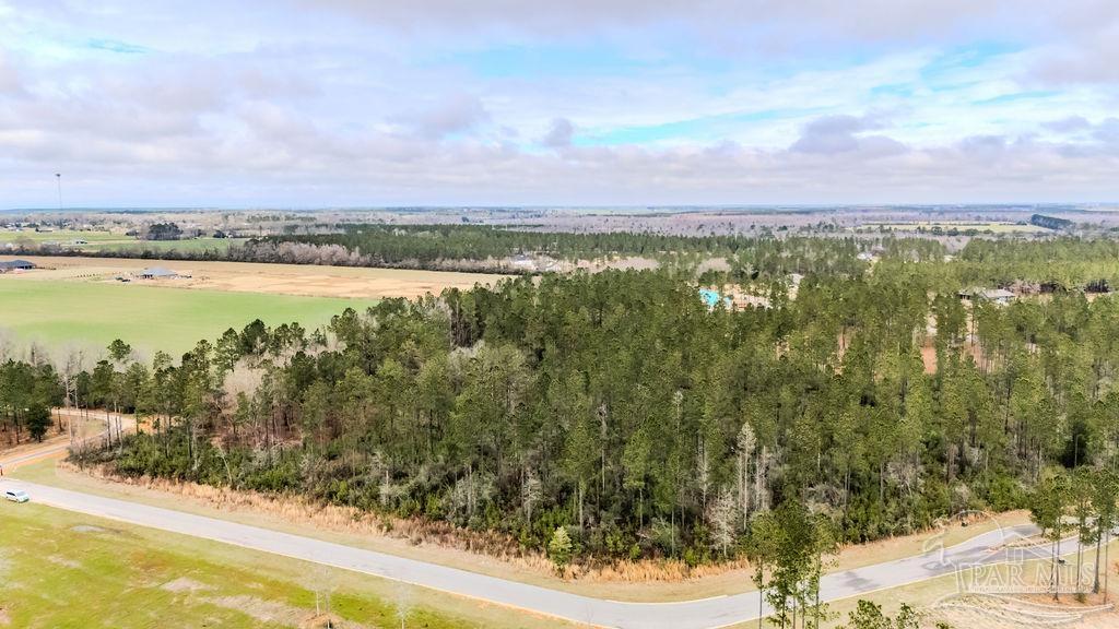 9.51 Parkstone Pines Road Pace, FL 32571 - Photo 1 of 17 Gallery Image 1