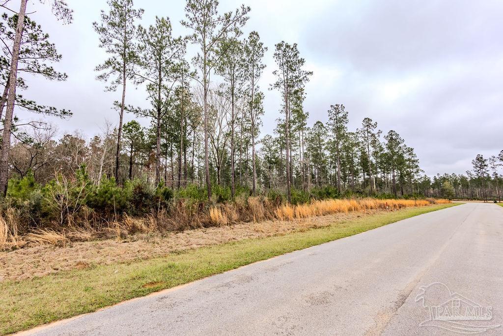 9.51 Parkstone Pines Road Pace, FL 32571 - Photo 14 of 17 Gallery Image 14
