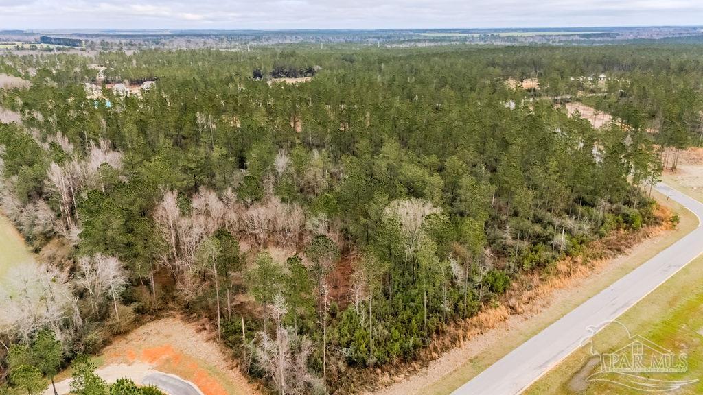 9.51 Parkstone Pines Road Pace, FL 32571 - Photo 15 of 17 Gallery Image 15