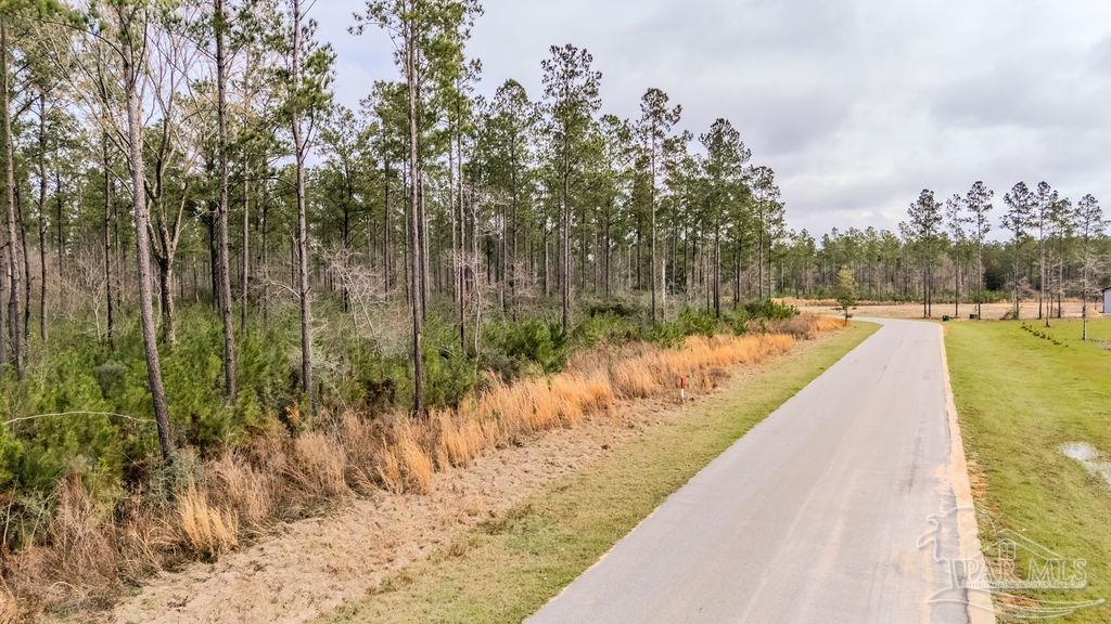 9.51 Parkstone Pines Road Pace, FL 32571 - Photo 17 of 17 Gallery Image 17