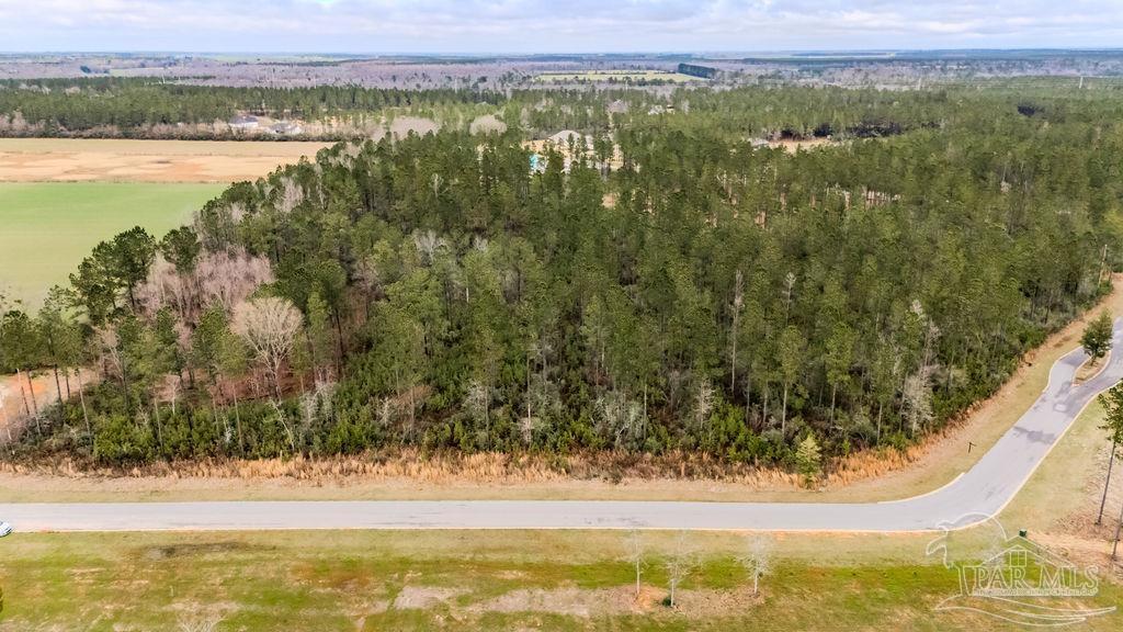 9.51 Parkstone Pines Road Pace, FL 32571 - Photo 2 of 17 Gallery Image 2