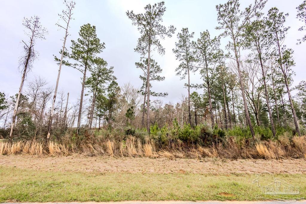 9.51 Parkstone Pines Road Pace, FL 32571 - Photo 3 of 17 Gallery Image 3