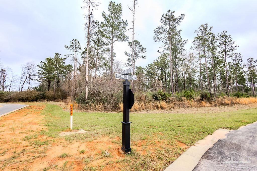 9.51 Parkstone Pines Road Pace, FL 32571 - Photo 4 of 17 Gallery Image 4